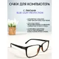 Очки для компьютера LECTIO RISUS LRC004-2 имиджевые защитные