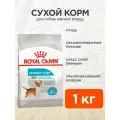 Корм сухой Royal Canin Mini Urinary Care для взрослых собак маленьких пород при мочекаменной болезни, 1 кг