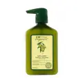 CHI Olive Organics Shampoo - Шампунь Шелковая олива 340 мл