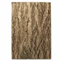 Фон натуральная кора на пробке, 560*435мм, Repti-Zoo
