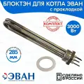 Блок Тэн для котла ЭВАН (3,0 кВт/3х220В) G1 1/2, L-285 мм (зам BA CZ 6531/002)