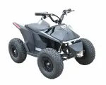 Детский электроквадроцикл Skyboard CyberTruck Sochi Kids 800W, 36V/20AH