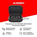 Беспроводные наушники Sennheiser Momentum Sport , Bluetooth, влагозащита, черный
