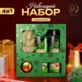 Новогодний подарочный набор косметики «Снежное царство», с ароматом мандарина и корицы. Зеленая серия