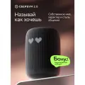 Интеллектуальная колонка СберБум 2.0 с ГигаЧат, цвет: темно-серый (SBDV-00320G)