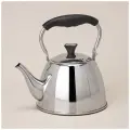 Чайник agness с фильтром, 1,0 л c индукцион. капсульным дном и складывающейся ручкой