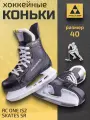 Коньки хоккейные Fischer RC ONE IS2 SKATES SR размер RU39 EU40 CM25