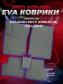 ЭВА коврики в салон автомобиля Чанган Юни-С/ Changan UNI-S (CS55 Plus) 2024-2025г. EVA(ЕВА)