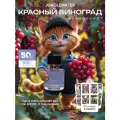 Духи женские сладкие стойкие Красный виноград 50 мл арабские