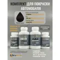Комплект для покраски CITROEN, код EFB, FB, GANACHE, базовая автомобильная эмаль 250 мл, лак 2K 250 мл с отвердителем, разбавитель 125 мл, FixPaint Pro