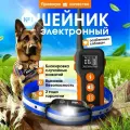 Электроошейник для дрессировки собак