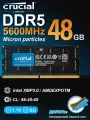 Оперативная память Crucial DDR5 48GB 5600Mhz SO-DIMM 1x48 ГБ