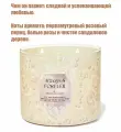 Bath and Body Works свеча ароматическая с 3-мя фитилями Always & Forever (411 грамм)