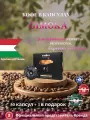 Кофе капсулы Gimoka Vellutato для Nespresso Professional 50 шт+3 капсулы