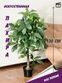Искусственное дерево пахира