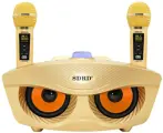 Караоке-система SDRD SD306 PLUS Gold, с 2 радиомикрофонами со сменными частотами, Bluetooth, Золотая