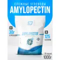 Гейнер на медленных углеводах для набора массы 2SN Amylopectin 1000 г