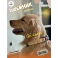Ошейник для собак из Биотана , 25 мм, 40-65 см. Серый и золотой шимер