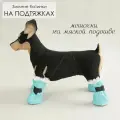 Ботинки для собак/ обувь для животных/ сапожки для кошек Бирюза