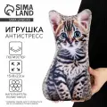 Антистресс игрушка Котик Бенгал