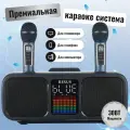 REXUS SD-318 (Dark Blue) - беспроводная караоке система, 2 радиомикрофона, USB, Bluetooth, Optical, Coaxial
