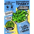 Опыты и эксперименты Выращиваем травку / детский набор для выращивания растений