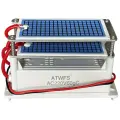 Портативный генератор озона ATWFS 24/60г, 24G 220V
