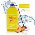 Средство для мытья пола Mister Dez Eco-Cleaning Дыня, 5л