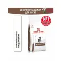 Сухой корм для котят при проблемах с пищеварением Royal Canin Vet Gastro Intestinal Kitten 2кг
