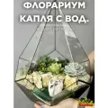 Флорариум с суккулентами Капля с водоемом большая