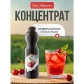 Основа Torry Вишня, для коктейлей, напитков, десертов, пластиковая бутылка, 1 кг