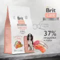 BRIT CARE, Сухой корм с морской рыбой и индейкой для взрослых собак Dog Adult Sensitive Metabolic, 12 кг
