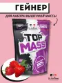 Dr.Hoffman Top Mass 1000g (Клубника)