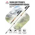 Треккинговые палки Naturehike ST01 NH17D001-Z (комплект)