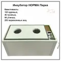 Инкубатор Блиц-норма Парка на 120 яиц (220/12В)