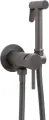 Гигиенический душ Allen Brau Priority 5.31A29-MG со смесителем, графит матовый
