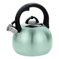 Чайник металлический со свистком MARTA MT-3091 ментол матовый