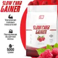 Гейнер для набора мышечной массы с медленными углеводами 2SN Slow Carb Gainer 5000г (Малина)
