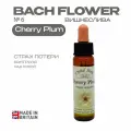 Cherry Plum (Вишнеслива) Черри Плам. Цветы Баха, эссенция №6 - капли 10 мл. Англия