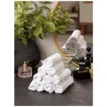 Набор махровых салфеток осибори Sandal premium 30*30 см, цвет - белый, 10 шт.