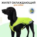 Жилет охлаждающий для собак средних и крупных пород