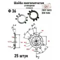 Шайба Ф36 многолапчатая ГОСТ 11872, DIN 5406 сталь 25 шт