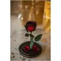 Бордовая роза в колбе Премиум в подарочной коробке/26 см /Живет 5 лет!