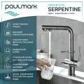 Смеситель для кухни с выдвижным изливом Paulmark SERPENTINE вороненая сталь, с подключением фильтра питьевой воды, Se213222-GM