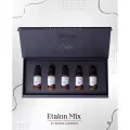 Минеральный сет пигментов для перманента Etalon Mix. 5 миксов по 10мл