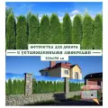 Фотосетка Мечта 300x158 см, Живая изгородь из туи