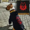 Одежда для собак с вышивкой Питбуль-Стафф от DOGTON средних и крупных пород. Кофта с начесом и капюшоном для прогулок и выставки. Размер L