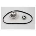 Комплект ремня ГРМ (с помпой) Metelli арт. 3004911