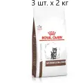 Сухой корм для котят Royal Canin Gastro Intestinal Kitten, при проблемах с ЖКТ, 3 шт. х 2 кг