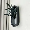 Настенное овальное декоративное кашпо черное 35х15 см на стену интерьерное с сухоцветами, эвкалипт Molecula Decor